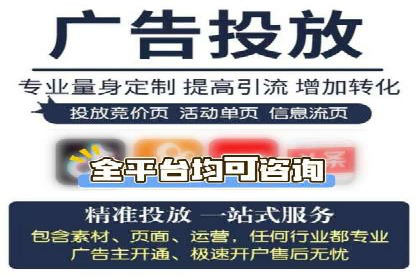 网站sem托管案例分享：如何精准投放广告